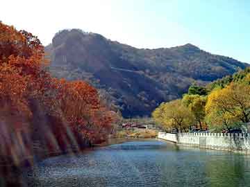 正版澳门天天开彩大全，节油器原理